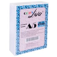 Liva A5 80 gr 10x500 Yaprak Fotokopi Kağıdı