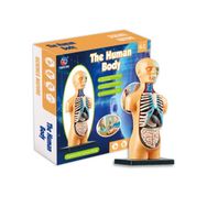 Liveasy 3D Insan Vücudu Anatomisi Modeli Montajlı Oyuncak