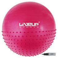 Liveup Ls3569 65 cm Masaj-Pilates Topu