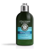 L'occıtane 250 ml Canlandırıcı Ferahlatıcı Saç Kremi