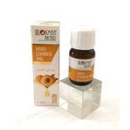 Lokman Aktar 20 ml Kayısı Çekirdeği Yağı