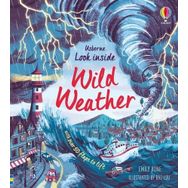 Look Inside Wild Weather-Usborne Publishing