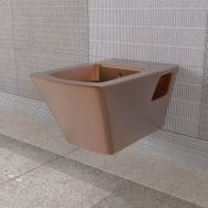 Lucco İçi Beyaz Dışı Komple Bronz Loop Asma Klozet