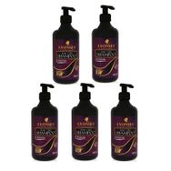 Lyonsey At Kuyruğu 5x400 ml Şampuanı