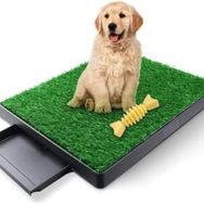 M-Pets 58x46 cm Grass Mat Çimli Çekmeçeli Köpek Tuvaleti