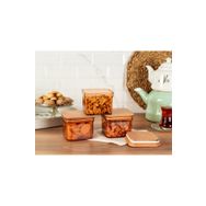 Madame Coco Kaviera Ahşap Kapaklı 3'lü Amber 500 ml Saklama Kabı