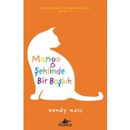 Mango Şeklinde Bir Boşluk - Wendy Mass