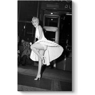 Marilyn Monroe Etek Tablosu