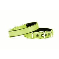 Markapet 2x45 cm Yeşil Yumuşak Doku Köpek Boyun Tasması