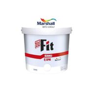Marshall Fit 15 lt Kuzey Yıldızı Silikonlu İç Cephe Duvar Boyası