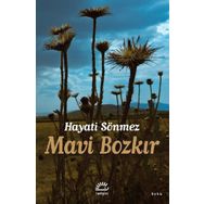 Mavi Bozkır - Hüseyin Sönmez