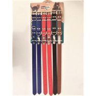 Maxi Life Pet60a 3 mm x 60 cm Köpek Boyun Tasması