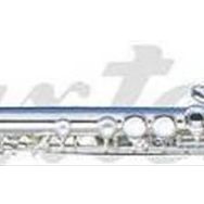 Maxtone TF48ES Flüt E Silver Wcase Aksesuar