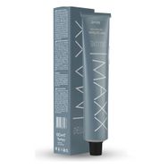 Maxx Deluxe Platinyum Gri Boya