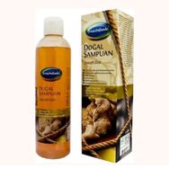 Mecitefendi Doğal Zencefil 250 ml Şampuan