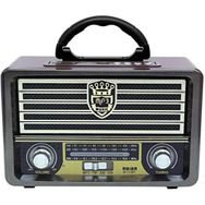 Meier M-113BT Radyolu Bluetooth Hoparlör