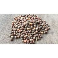 Memişoğlu Baharat 100 gr Burçak Tohumu