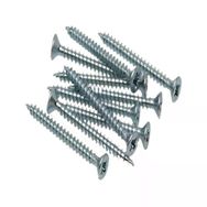 Meridyen YHB 4x25 mm 500 Adet Sunta Vidası