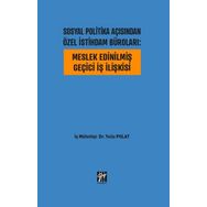 Meslek Edinilmiş Geçici İş İlişkisi - Duygu Çelebi Demir