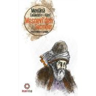 Mesneviden Seçmeler - Cep Boy - Mevlana Celaleddini Rumi