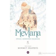 MEVLANA DIVAN-I KEBIR'DEN SEÇMELER - MEHMET ERGÖNÜL