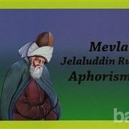 MEVLANA JELALUDDIN RUMI APHORISMES - AHMET GÜZEL