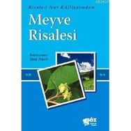 MEYVE RISALESI (CEP BOY) - BEDİÜZZAMAN SAID NURSI