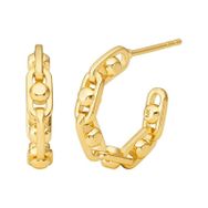 Michael Kors MKC171100-710 Kadın Küpe