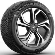 Michelin 295/45 R20 114V XL Pilot Alpin 5 Suv Kış Lastiği 2021