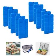 Microcase AL4655 10x400 ml Içi Su Dolu Buz Kasedi 48 Saat Korumalı Buz Aküsü