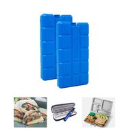 Microcase AL4655 2x400 ml Içi Su Dolu Buz Kasedi 48 Saat Korumalı Buz Aküsü