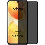 Microsonic Vivo V25 5G Privacy 5D Gizlilik Filtreli Siyah Cam Ekran Koruyucu
