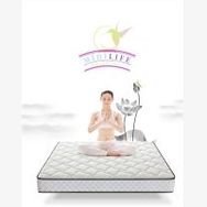 Midilife Cotton Ortopedik Yaylı 50x110 cm Yatak
