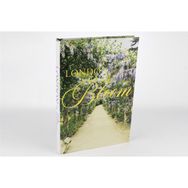 Mikasa Moor London Bloom 35x24x3 cm Kitap Kutu