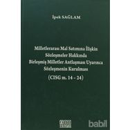 MILLETLERARASI MAL SATIMINA İLIŞKIN SÖZLEŞMELER HAKKINDA BIRLEŞMIŞ MILLETLER ANTLAŞMASI UYARINCA SÖZLEŞMENIN KURULMASI - İPEK SAĞLAM