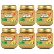 Milupa Organik Elma Havuç Püreli 125 gr 6'lı Kavanoz Maması