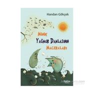 Minik Yağmur Damlasının Maceraları - Handan Gökçek