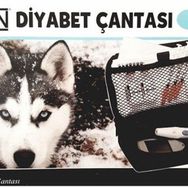 Minion Diyabet Çantası
