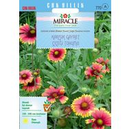 Miracle 190 Adet Karışık Gayret Çiçeği Tohumu