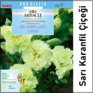 Miracle 190 Adet Sarı Karanfil Çiçeği Tohumu