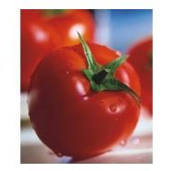 Miracle 2274 10 gr Tohum Sofralık Domates Tohumu