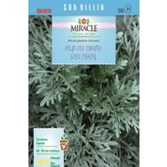 Miracle 250 Tohum Pelin Otu Tohumu