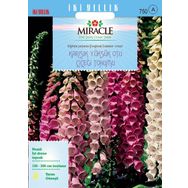 Miracle Excelsior Mixed Karışık Renkli Yüksükotu Çiçeği 700 Tohum
