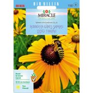 Miracle Hirto My Joy Rudbekya 900 Tohum Güneş Şapkası Çiçeği