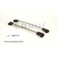Mitsubishi Asx 2010 Üzeri Gri Wingcarrier Ara Atkı