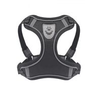 Mixpet L Gezdirmeli Köpek Armalı Göğüs Tasması