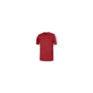 Mizuno 32FA9A5162 Kırmızı Nara Tee Erkek Spor T-Shirt