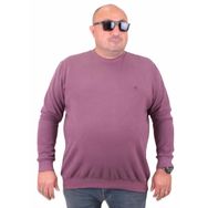 Moc Grande 23200 Eflatun Selanik Erkek Sweatshirt