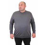 Moc Grande 23216 Antrasit Sıfır Yaka Erkek Sweatshirt