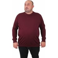 Moc Grande 23216 Mürdüm Sıfır Yaka Erkek Sweatshirt